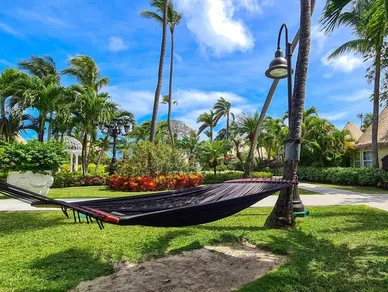 A hammock in the middle of a lush green park.