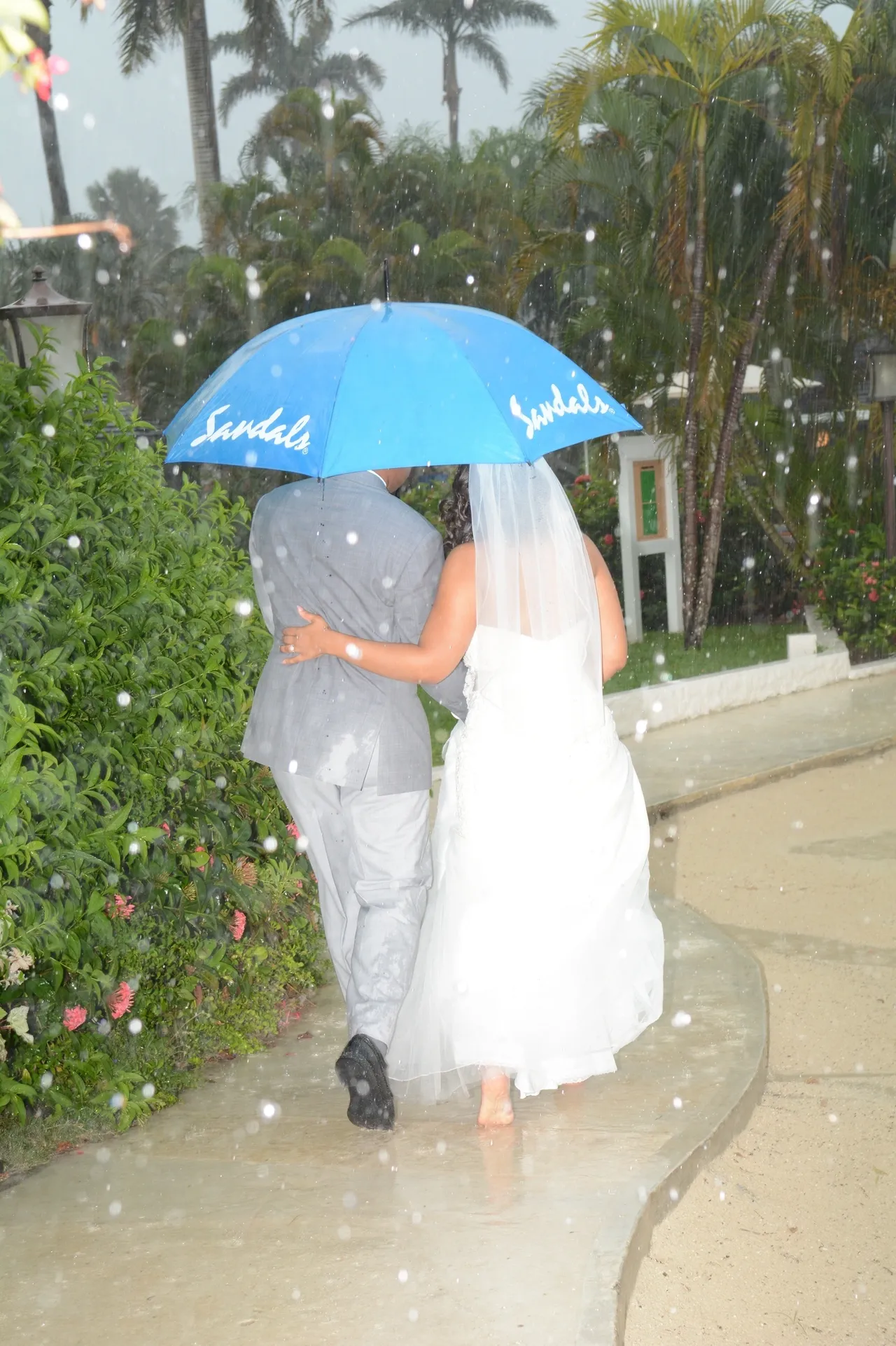 A bride and groom walking under an umbrella.